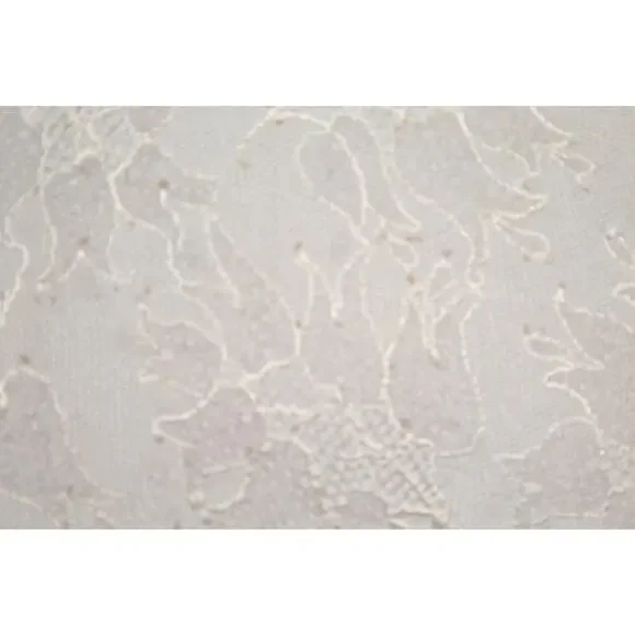 Adam Lippes Lace Blouse Nude Beige Short Sleeve Lined Top Women Size 2 - Picture 3 of 5